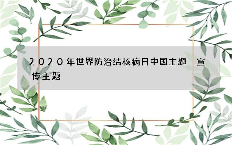 2020年世界防治结核病日中国主题 宣传主题